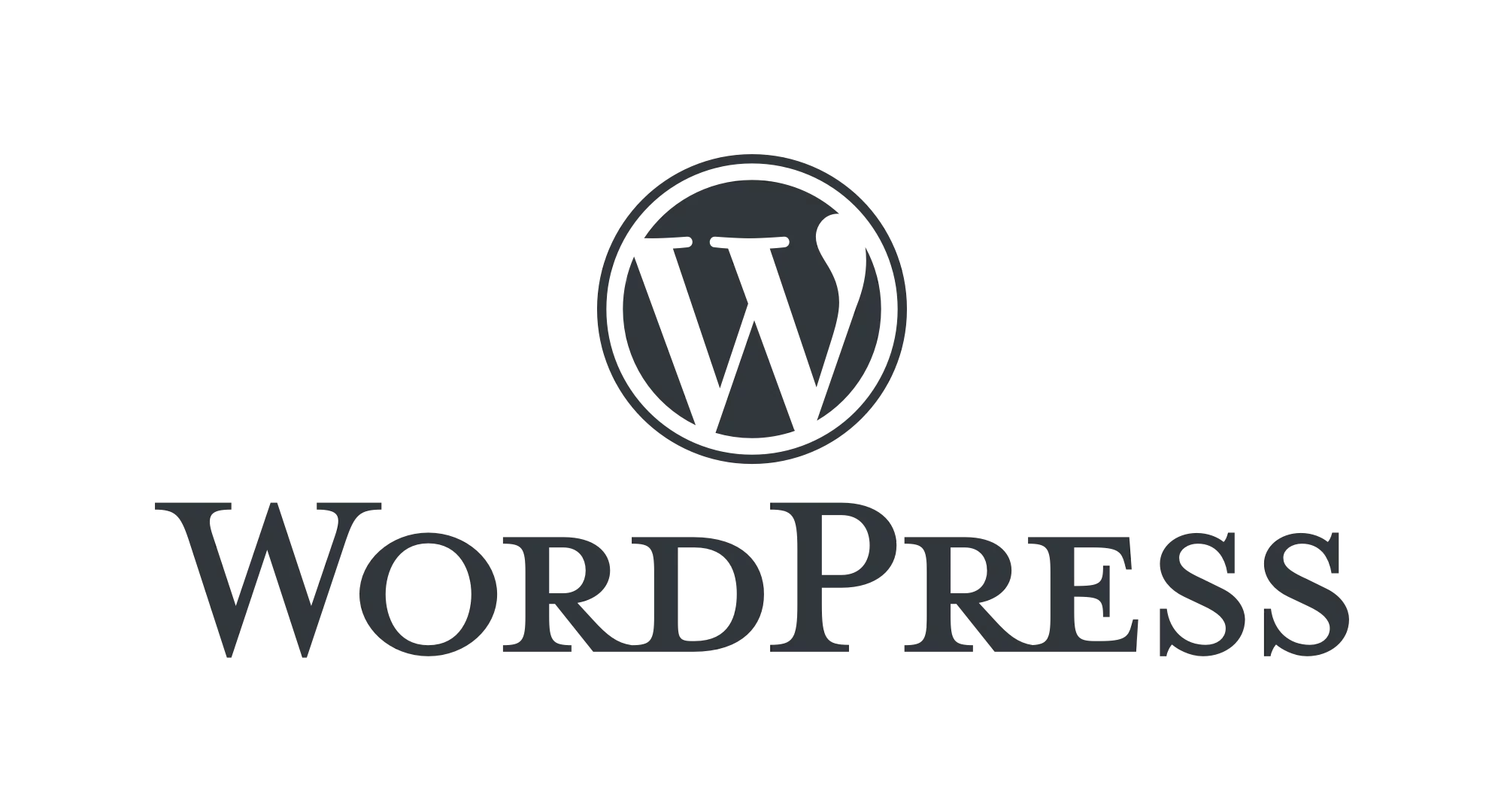 Wordpress utilisé par l'agence de communication Lyon Net Strategy